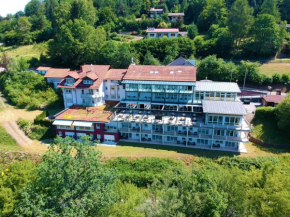 Hotels in Rothenbuch
